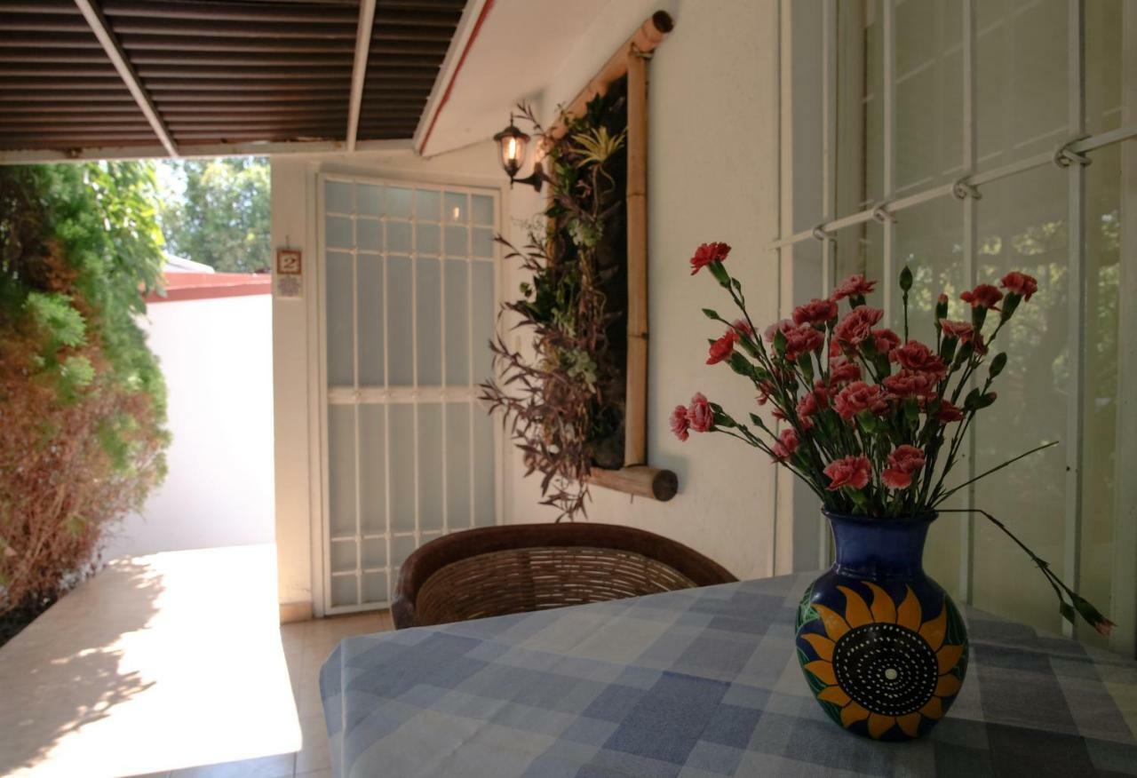 Suites La Flor Sagrada Сочітелек Екстер'єр фото